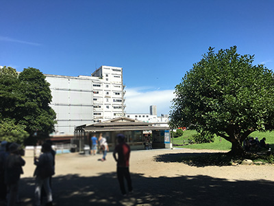 ポケモンの巣 浜離宮恩賜庭園でイシツブテを捕獲してきました 9月27日にズバットの巣に変更 マッサージレポ Jp ポケモンの巣 浜離宮恩賜庭園でイシツブテを捕獲してきました 9月27日にズバットの巣に変更 マッサージレポ Jp