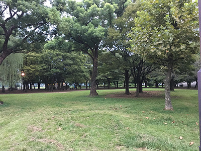 ポケモンの巣 東綾瀬公園でガーディを捕獲してきました 9月27日にプリンの巣に変更 マッサージレポ Jp ポケモンの巣 東綾瀬公園でガーディを捕獲してきました 9月27日にプリンの巣に変更 マッサージレポ Jp