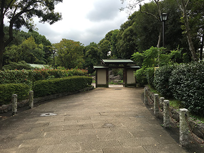 ポケモンの巣 錦糸公園でフシギダネを捕獲してきました ９月２７日にトサキントの巣に変更 マッサージレポ Jp