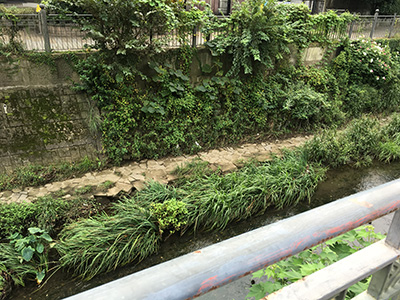 ポケモンgo プテラが良く出現すると噂の上大岡に遠征してきました マッサージレポ Jp