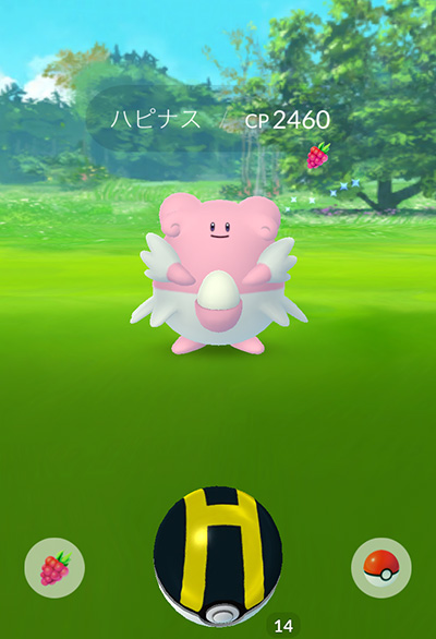 ポケモンGO8
